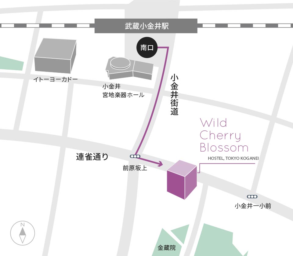 Wild Cherry Blossom - HOSTEL, TOKYO KOGANEI-（仮称）マップ 